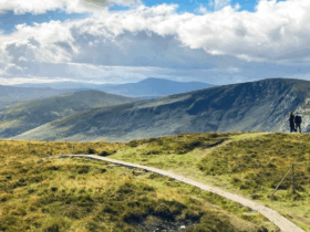 Best Scenic Drives Through the Wicklow Mountains for First-Timers