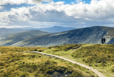 Best Scenic Drives Through the Wicklow Mountains for First-Timers